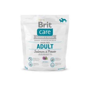 BRIT Care Adult | Sucha...