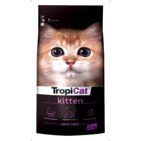 copy of TropiCat Premium...