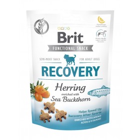 BRIT CARE DOG FUNCTIONAL SNACK RECOVERY | Przysmaki dla Psa HERRING & SEA BUCKTHORN 150g