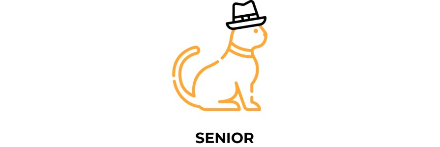 Karma dla kotów seniorów, starych kotów