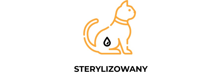 Koty sterylizowane